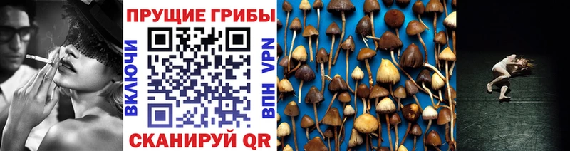 Галлюциногенные грибы Cubensis  где продают   ссылка на мегу ссылка  Уяр 