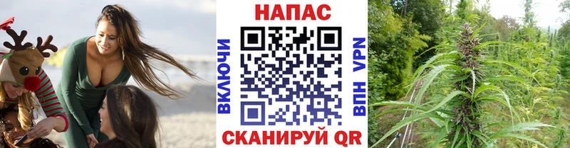 Бошки Шишки семена  Уяр 